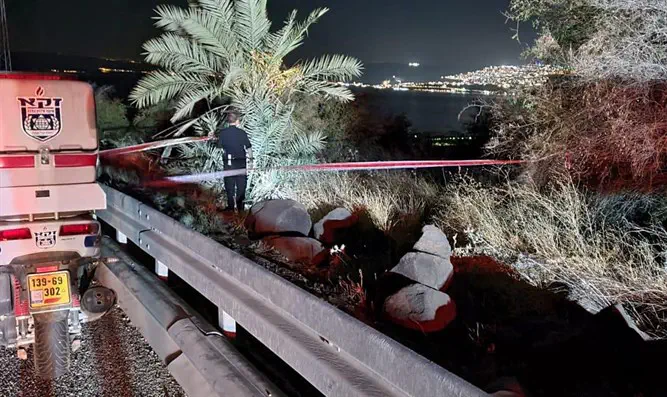 קטף לולבים, נפל מהעץ ונהרג