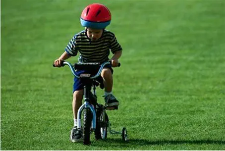 Иллюстрация Иллюстрация