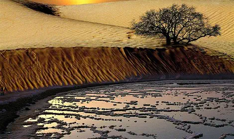 אור יקרות אור יקרות