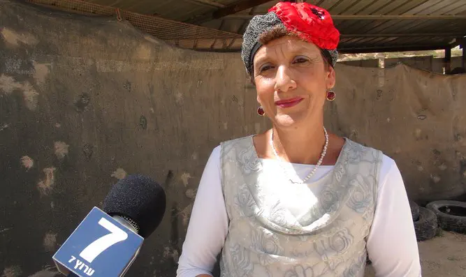 ח"כ מועלם-רפאלי ח"כ מועלם-רפאלי