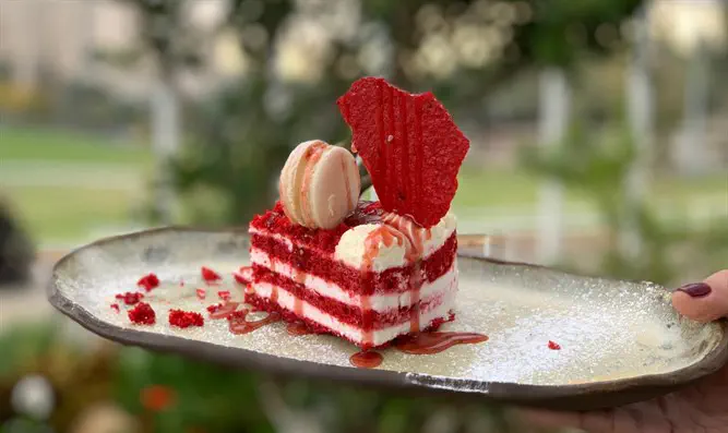 מנה שמוגשת ב'קפה גן סיפור' מנה שמוגשת ב'קפה גן סיפור'