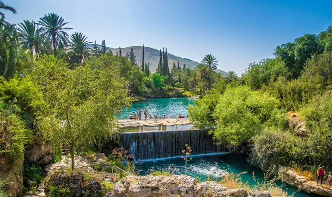 ארגון השמאל 'זזים' נגד ההפרדה במעיינות