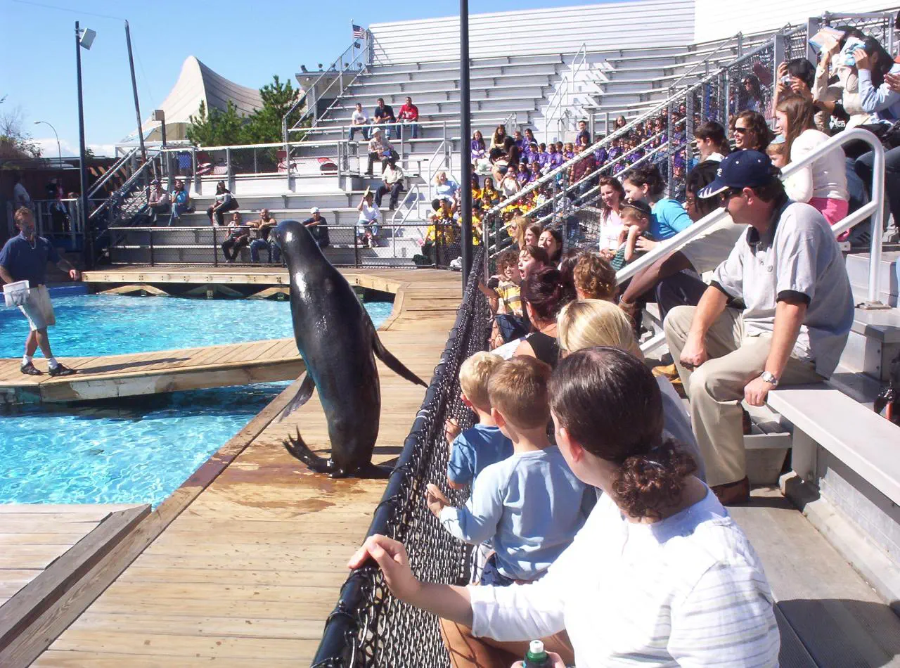 :HoDi
אם היא לא הייתה מטושטשתאיש-זאב
נכון...[:HoDiאחרונה
פתיחת ווצאפ במחשביאיר גדסי
אני מנסה לפתוח ווצאפ במחשב הבעיה שיש לי פלאפון כשר ניסיתי להתקין אימולטר
ניסיתי מאה סוגים אבל בכל אחד הוא לא נתן לי להתקין ווצאפ
מישהו עם פלאפון כשר הצליח להתקין ווצאפ על מחשב?
ויכול להדריך אותי בדיוק איזה אימולטר ואיזה ווצאפ להוריד
ממש יועיל לי
אתה לא בפורום הנכוןזיויק
טעותיאיר גדסיאחרונה
אתה צודק לא ידעתי אני חדש
איך אני מוחק
אשכרה הפורום הזה נפתח שנה לפני שנולדתי!!!!!!!!!!!ההרהמורניק
בואו נחיה אותו
מה קורה פה?פיטוניה
כלוםזיויק
פורום נטוש ככל הנראהקעלעברימבאר
אבל אולי לא. מי יודע?קעלעברימבאר
וואו. מקום עם הסטוריהמשה
מה היה פה?שדמות בחולות
פורום פעיל עם חברים אהוביםמשהאחרונה
שיר חדש לקראת פורים!שירים חדשים
מוישי קליינרמןעשב לימון
למה לדעתכם האם בחזית ולא האב?
גיטי קליינרמן: "מוישי הוא כבר הבן של עם ישראל" | ערוץ 7
גם עם הדר גולדין זה הרבה כך,
וגם עם שלושת הנערים הי"ד
זה חדש יחסית
עם נחשון וקסמן הי"ד זה היה האב בחזית
(למה זה גורם לי לחשוב שאני שוביניסטית?)
מרתק: כולם אומרים "שנמאס מהמצב"? למה זה קורה?דבדב
מרתק: כולם אומרים "שנמאס מהמצב"? למה זה קורה?
כולם מדברים על "המצב" ועל זה "שנמאס".
אבל מה אנחנו מרגישים באוויר ולמה?
פודקאסט חדש, מרתק וויחודי ששווה להאזין לו.
והפעם על: "תנועת הבעד"
כל הפרטים, להאזנה>>
קניון, מה הוא עושה לנו בלב? פודקאסט חדשדבדב
קניון, מה הוא עושה לנו בלב?
פודקאסט חדש:"קניונים ורגשות".
להאזנה>>
פודקאסט חדש:"קניונים ורגשות".
להאזנה>>
![