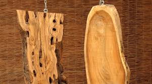 ×ª××¦××ª ×ª××× × ×¢×××¨ ×××¢ ×¢×¥ ××ª×× ××××¨×