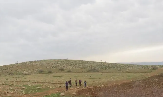 החריש בסוף השבוע