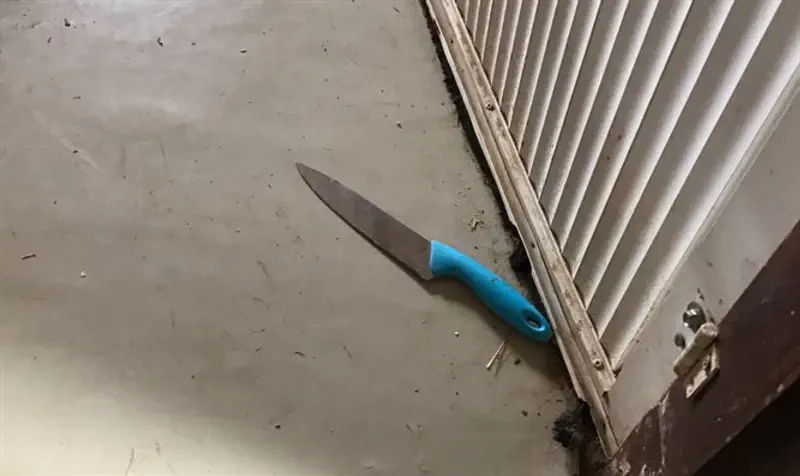 הסכין בסלון הבית