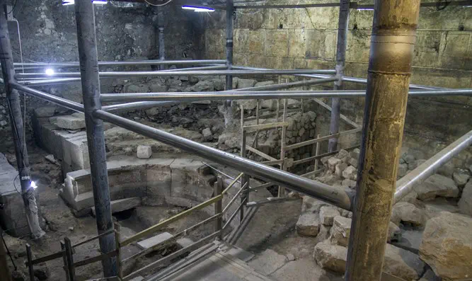 חפירת קשת וילסון