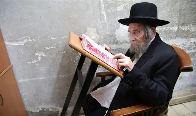 הרב שטיינמן