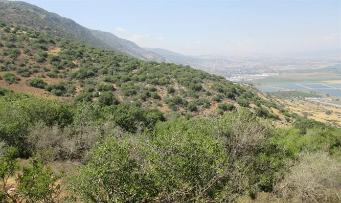 Galilee tour 3