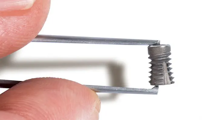 בשורה ממוזערת – הפירמידה שהופכת את עולם ההשתלות