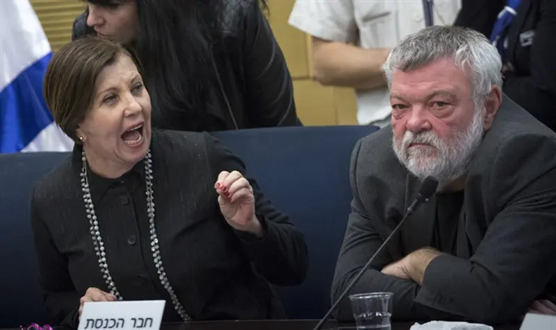 Gal-on and Gilon in Knesset committee, 2016
