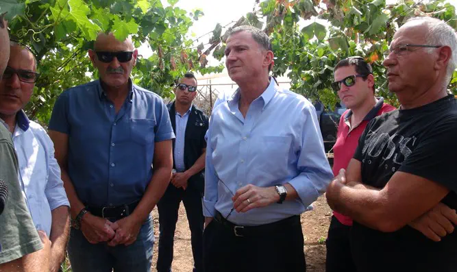 טרור חקאלחייני בסיור עם יו"ר הכנסת בבקעה "תג מחיר פלסטיני"