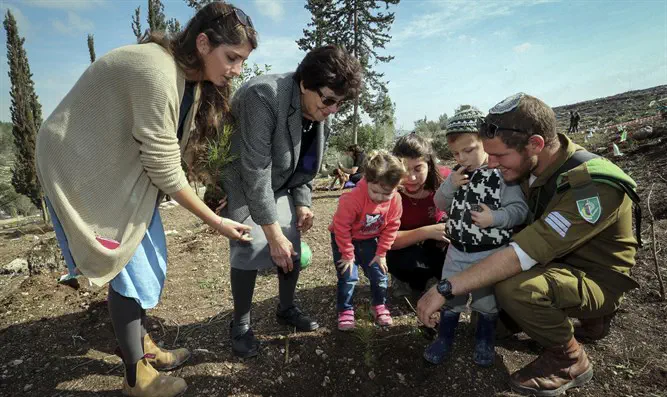 KKL-JNF planting event