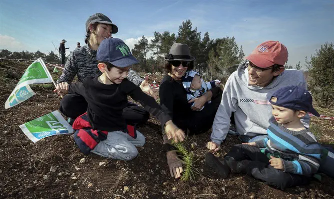 KKL-JNF Planting event