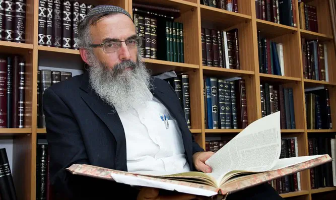 הרב דוד סתיו