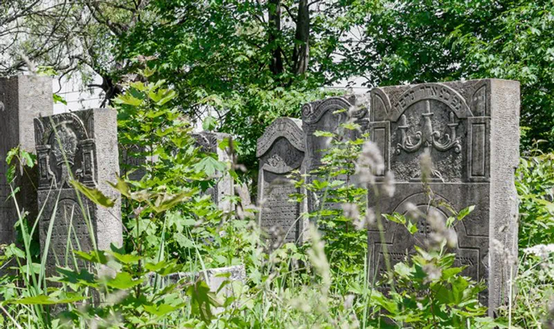 Old Jewish cemetery in Ternopil