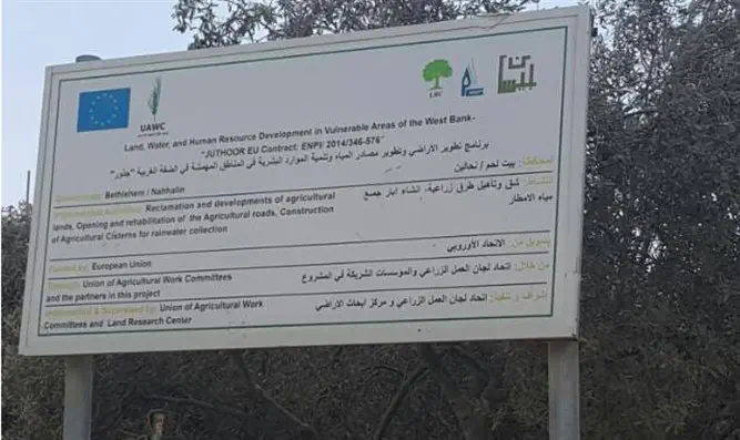 רמיסה גסה של החוק