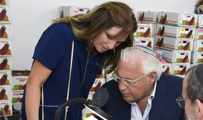 Ambassador inspecting etrog under light