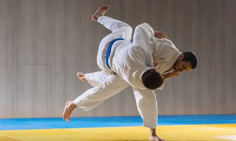 Judo (illustration)