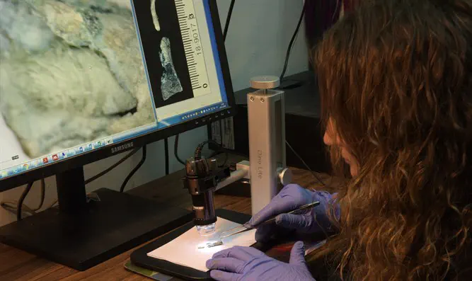 בדיקת הפתילה הנדירה