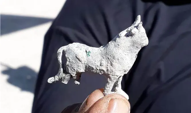 צלמית הפר שנמצאה