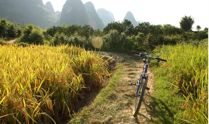 טיול אופניים ביאנגשו