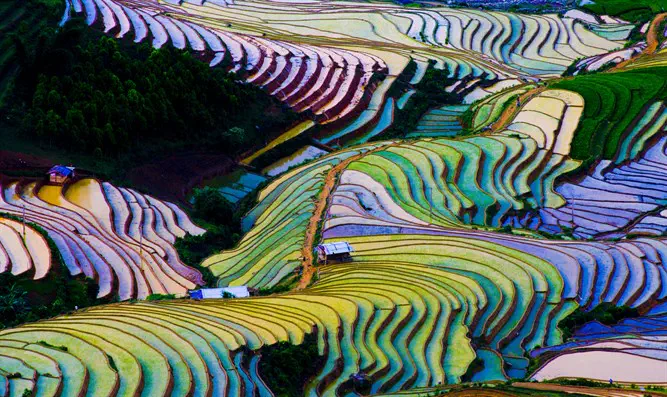 טרסות האורז