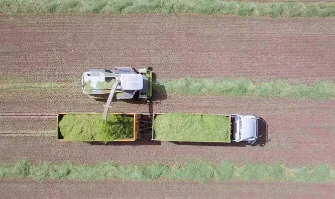 "כל מוצר המיוצר בישראל שיכול להתחרות בשוק האמריקאי יכול להיכנס אליו פטור ממע"מ"