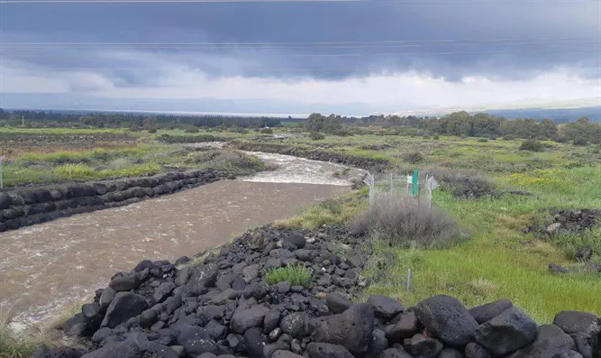 נחל דליות זורם לכינרת