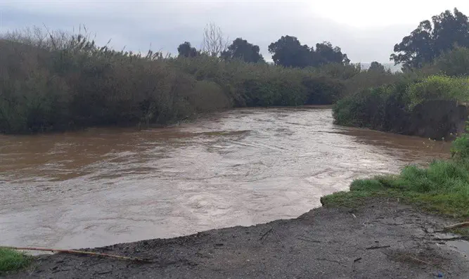 נחל דליות זורם לכינרת