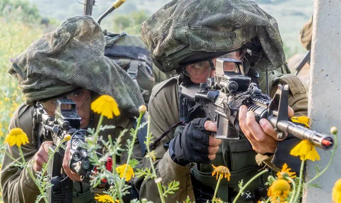 הצנחנים בתרגיל