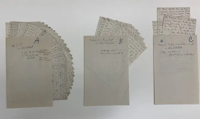 הכנות לחתונה בכפר - פרנץ קפקא