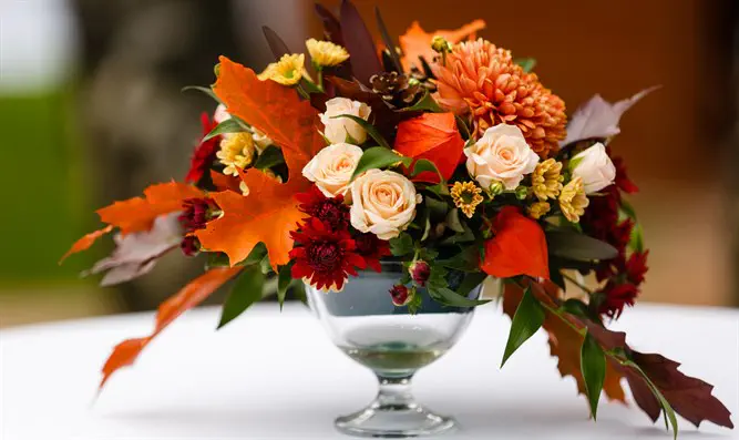 אתם רואים פרחים, הם רואים פרויקט גמר