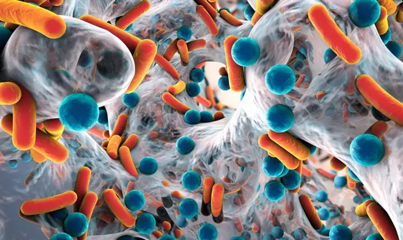 Biofilm of antibiotic-resistant bacteria