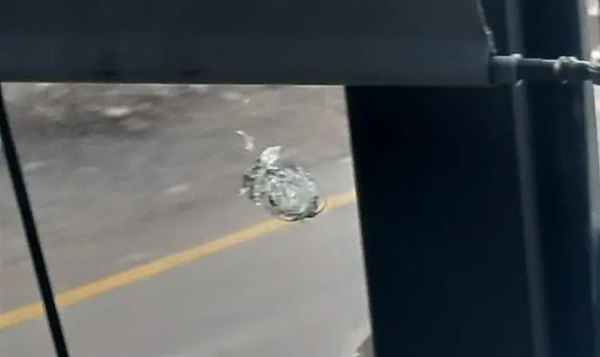 הפגיעה בשמשת האוטובוס