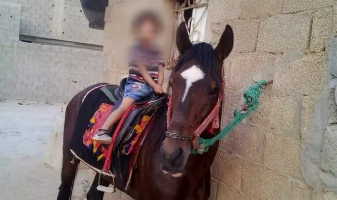 ילדה של סאברין על הסוס המשפחתי בחצר המשפחה בלוב.