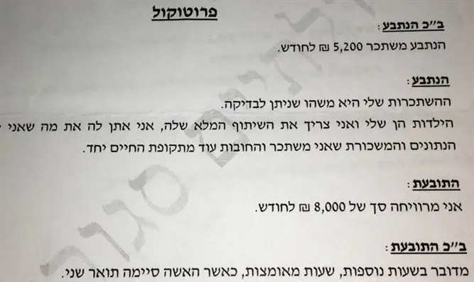 מתוך הפרוטוקול