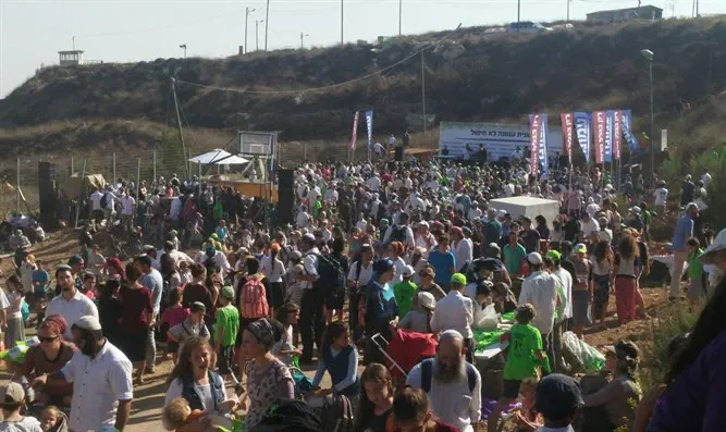 אלפים בעמונה, היום