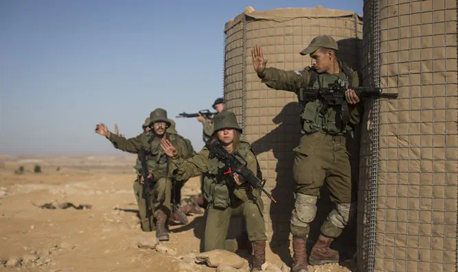 יחידה מעורבת בתרגול לש"ב. אילוסטרציה