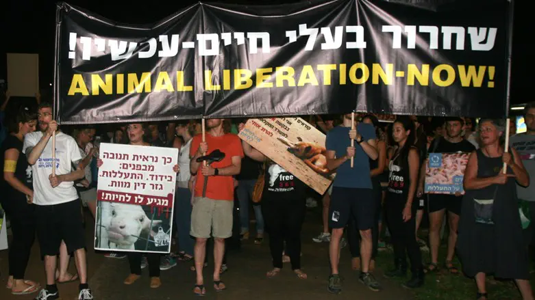 Is animal experimentation halakhically permissible? | Israel National News
