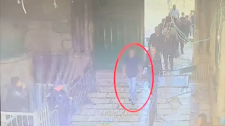 New footage shows how a stabbing attack was thwarted