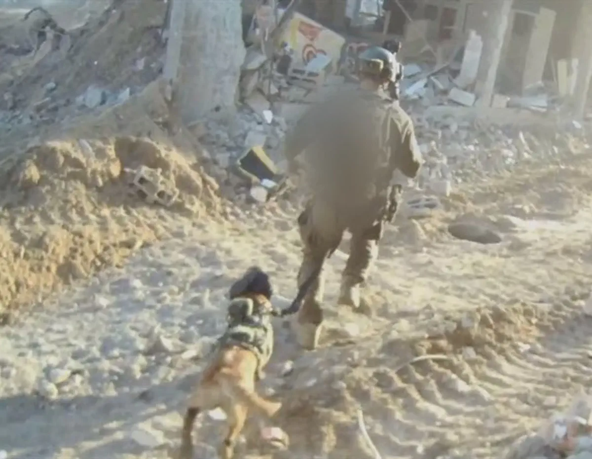 The Dogs Who Fight Terrorists: IDF Canine Unit Detects And Neutralizes ...