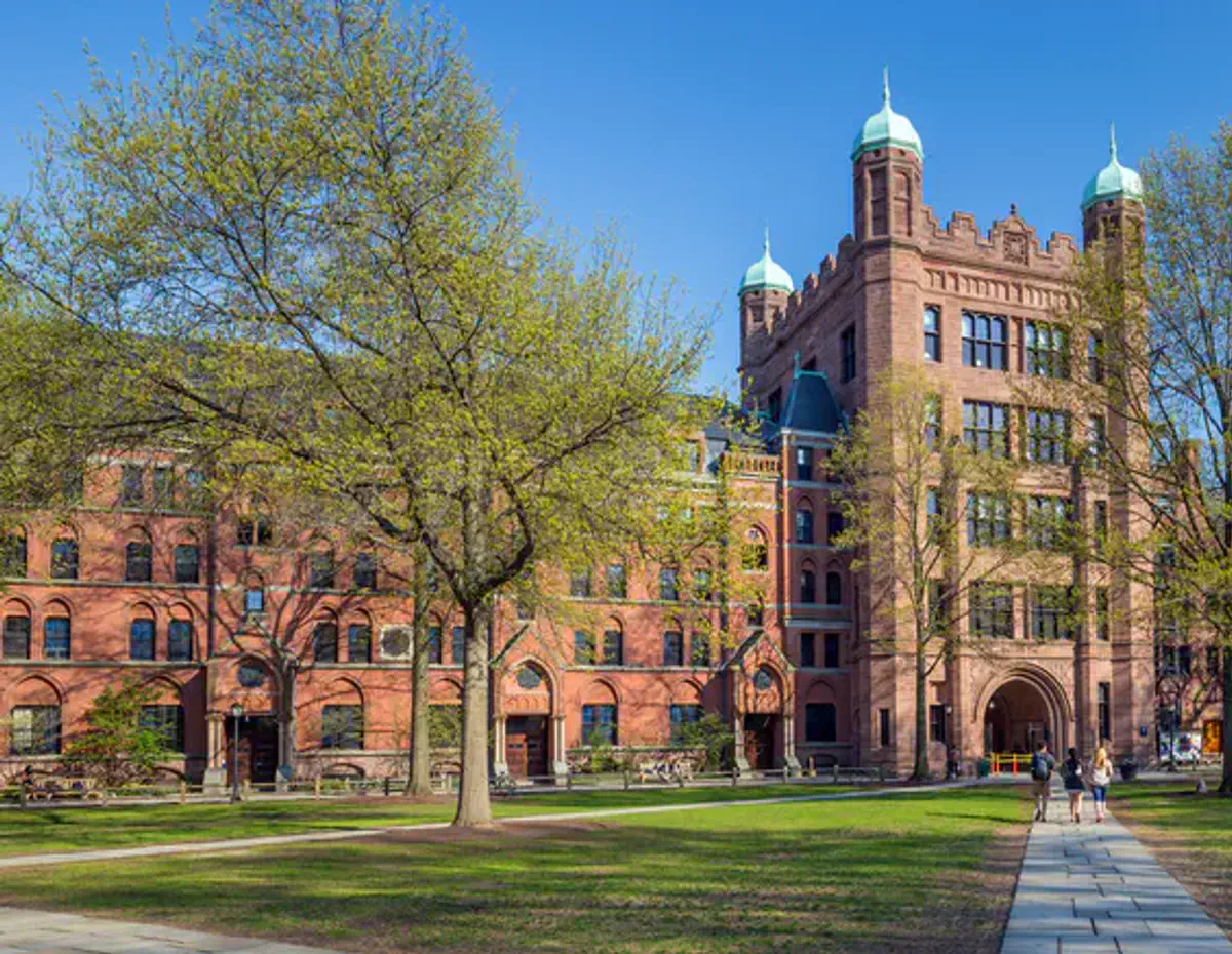 Jewish Yale student stabbed in the eye with PLO flag during anti ...