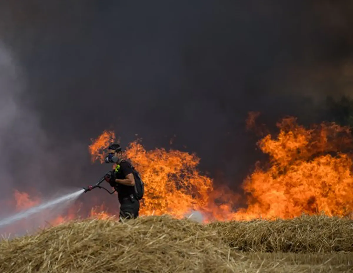 838738.jpg?autocrop=1