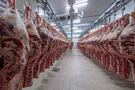 Lawsuit: Canada gov't cut kosher meat production