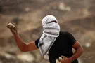 Dozens of Arabs attacked a shepherd in the Jordan Valley