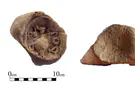 What were these ancient clay tokens used for?