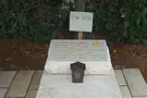 מצבה צבאית הונחה על קברו של אלון שמריז