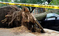 More than 12 dead as tropical storm batters Alabama