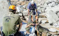 Disaster training with the Israel Dog Unit